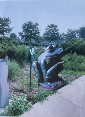 Kissing Toad